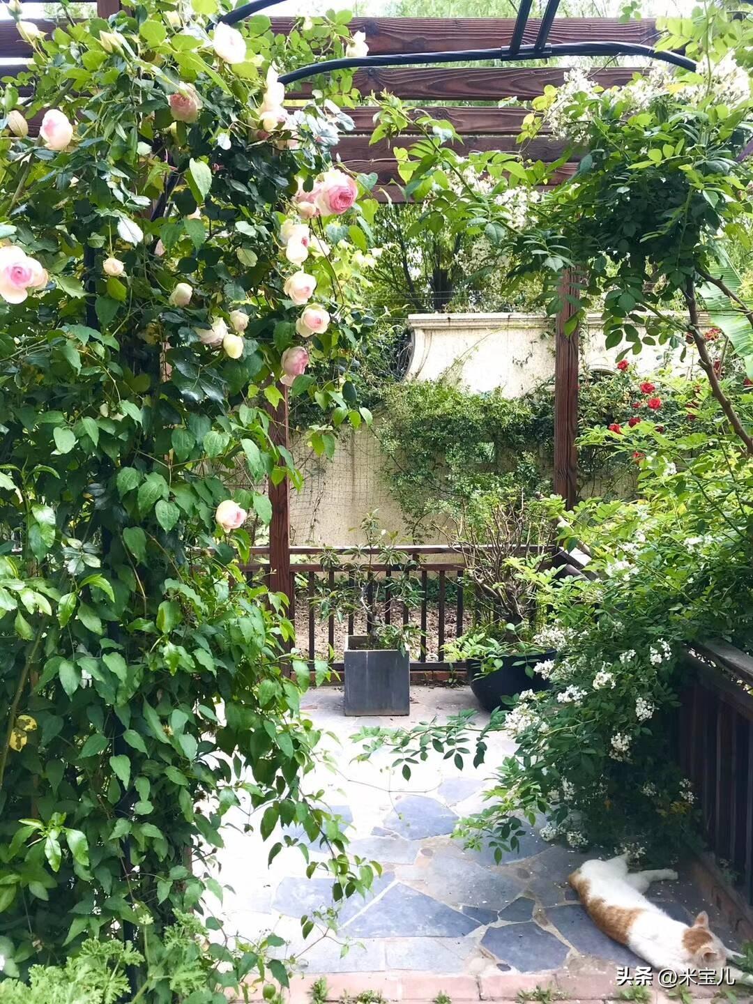 梅艳芳四十岁宫颈癌病逝，
陈晓旭四十一岁乳腺癌病逝，
赵英俊四十三岁肝癌病逝，