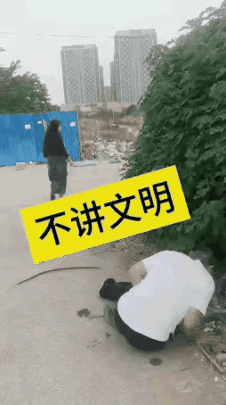 一个不文明，一个伤害打击

其实两者都是不对的，都要接受批评教育才对。