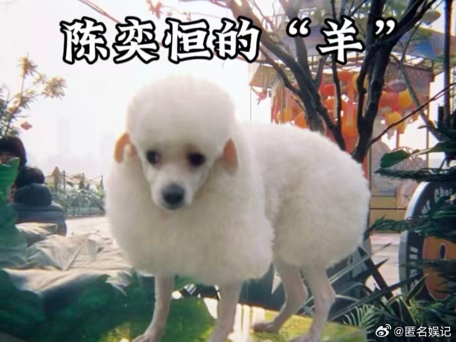 最丑的动物都在时代峰峻了四代宠物也太卷了吧！颜值和搞笑双在线！ 