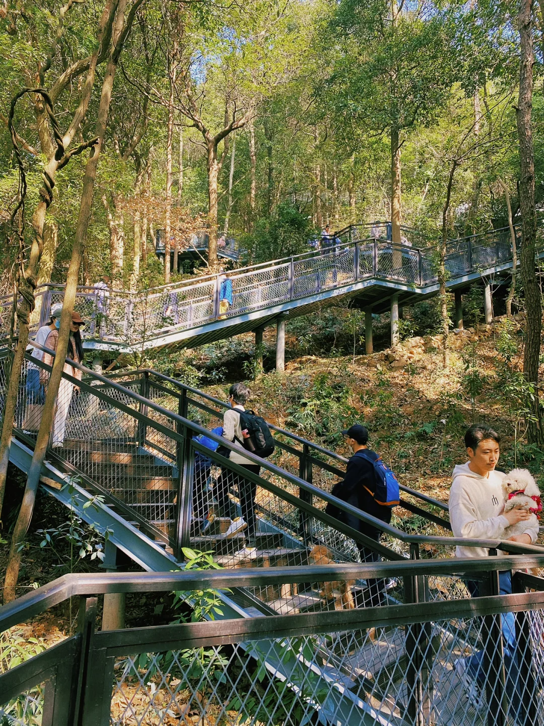 火爆了🔥 杭州新晋网红打卡点—马家坞 ‼️