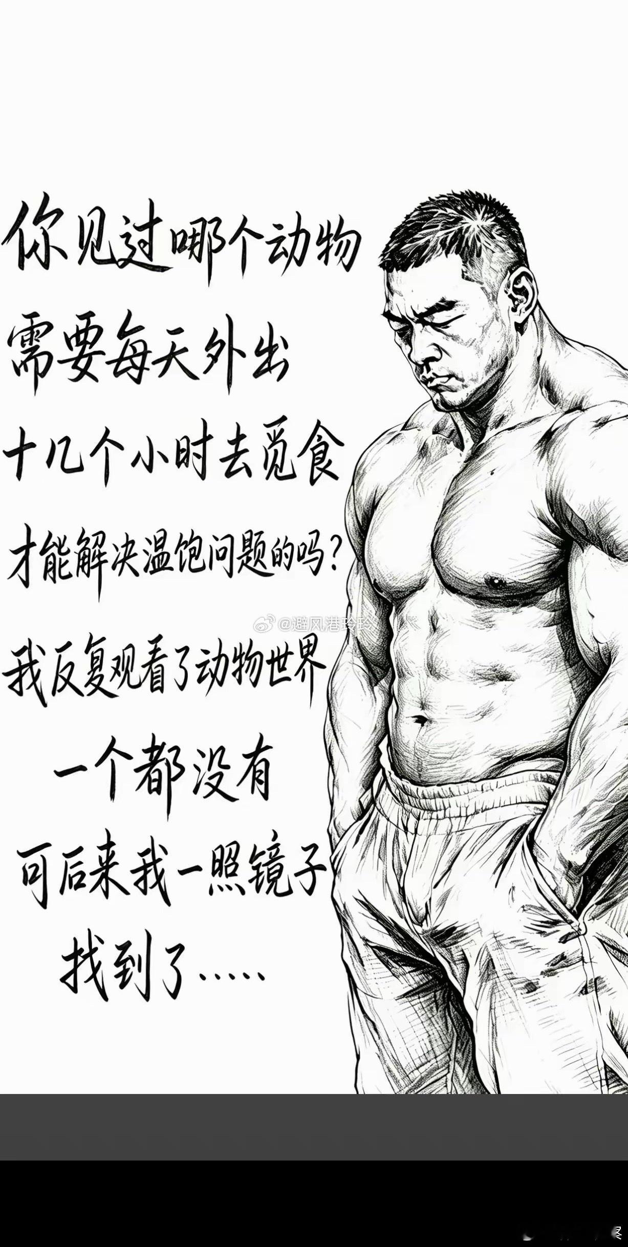 这个。。。 