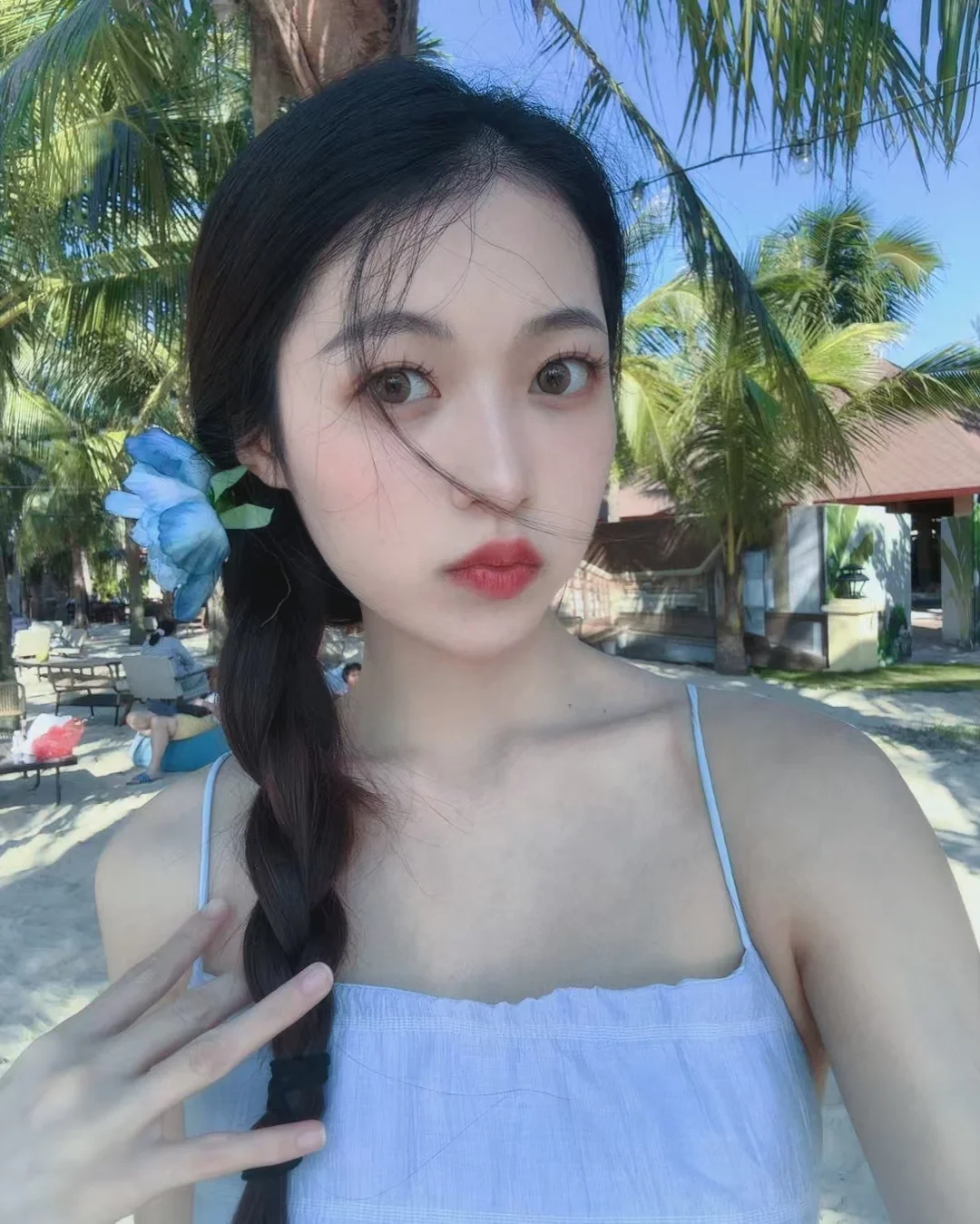 椰风漫海岛，藏一整个夏日温柔
