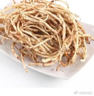 #每天一味中草药# 鱼腥草的功效是清热解毒（清除体内热毒邪气）、消痈排脓（消除痈