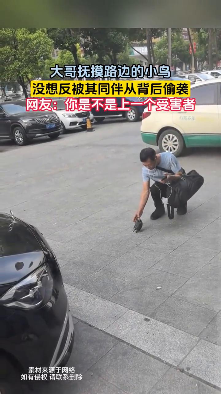 大哥抚摸路边的小鸟，没想反被其同伴从背后偷袭。网友：你是不是上一个受害者？
素材