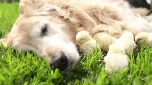 过年带相机回家最有意义的时刻 带相机回家，最有意义的是定格爸妈在厨房忙碌的身影，