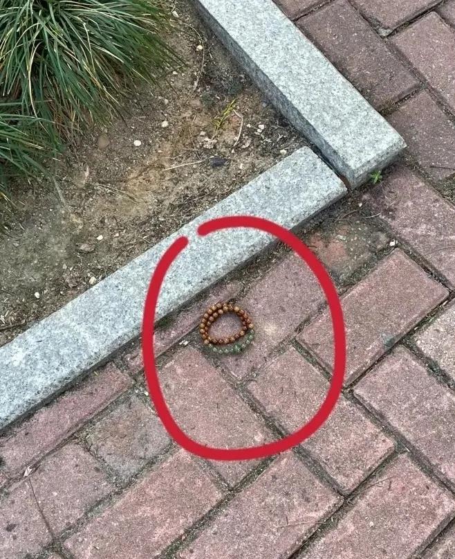 急！！！火车站广场边看到的，这东西能捡吗？要注意点什么？[what]