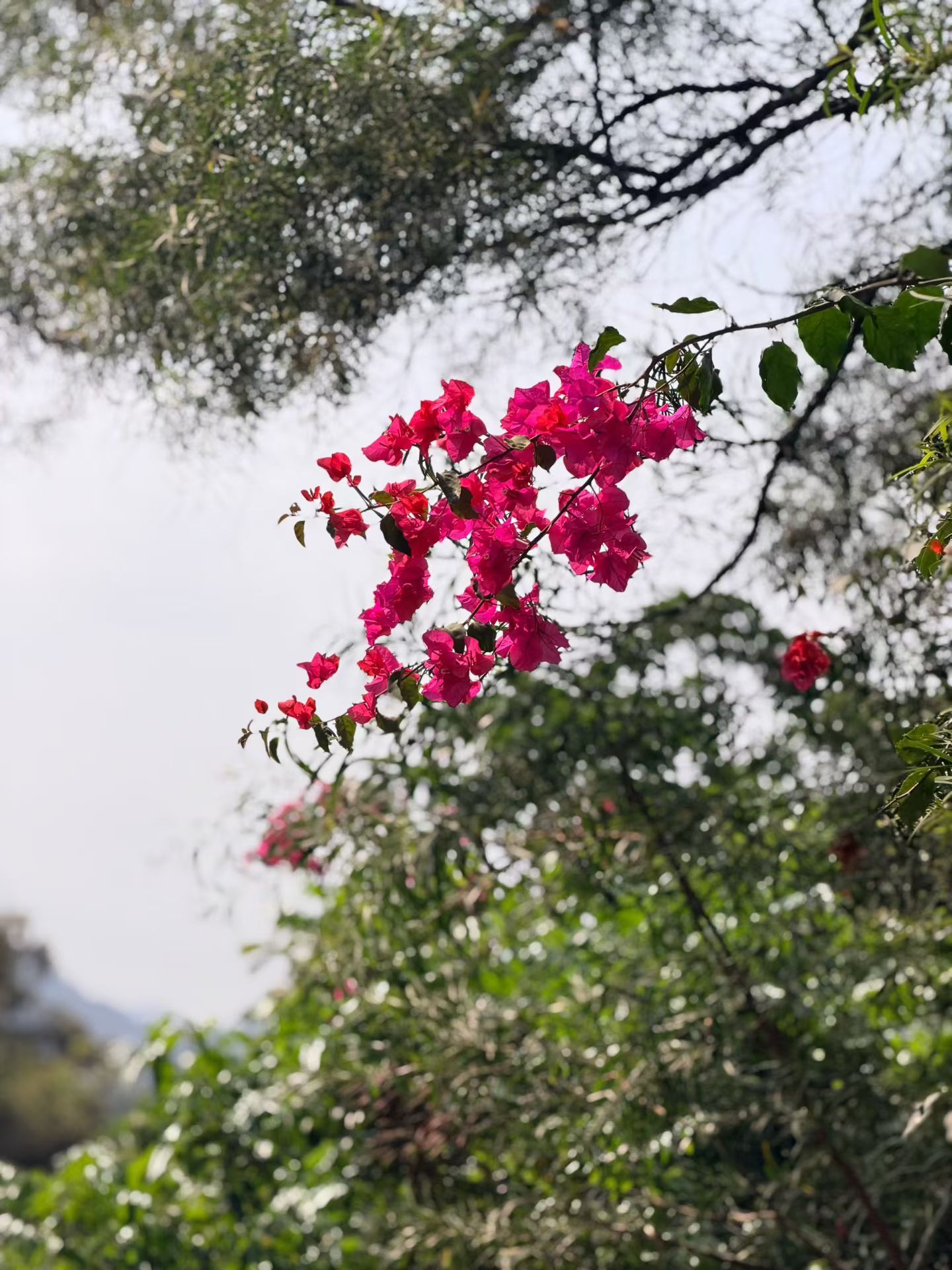 世间各人有各人的缘法，各人背各人的因果，不介入、不强求、不渡人。心无挂碍，万事随