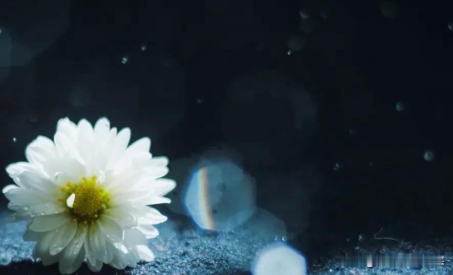 人生一壶酒，浓淡不由人，

就在于你如何品；

花间一壶茶，浮沉不由己，

就在