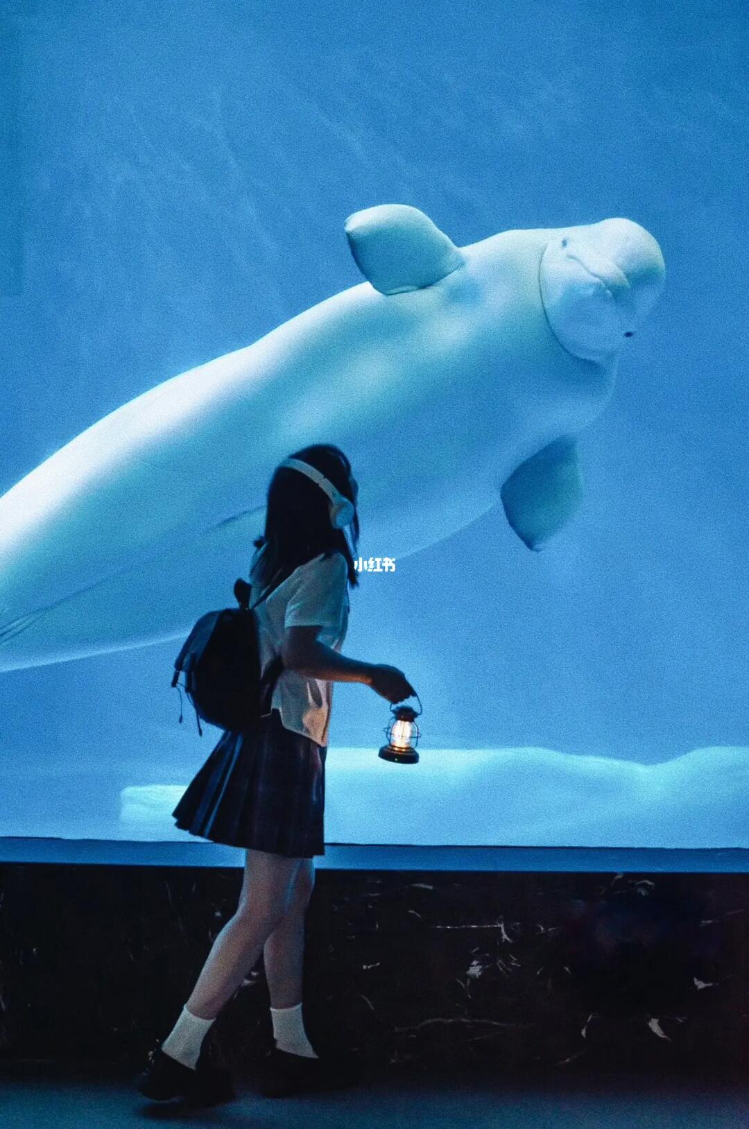 成都拍照圣地！海蓝时见鲸，梦醒时见你📸