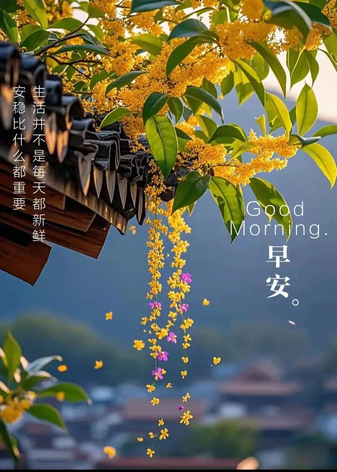 江南霜打纤草软，塞外飞雪万树花。。。
午阳南墙心温暖，冬菊黄灿竞为家。。。

上