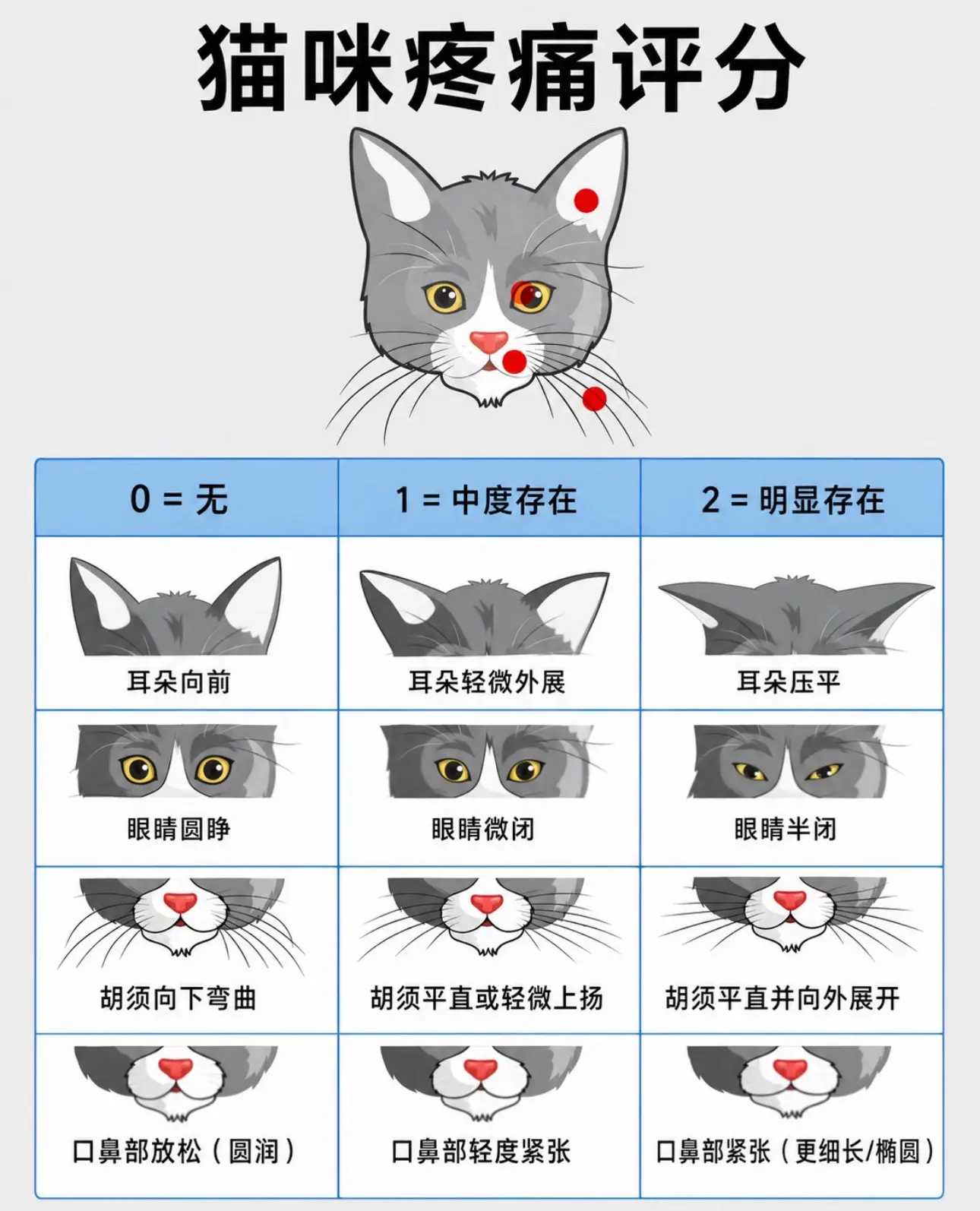 "分数越高越要引起重视"猫咪疼痛时非常难以让人发现，这种图表能帮助大家...