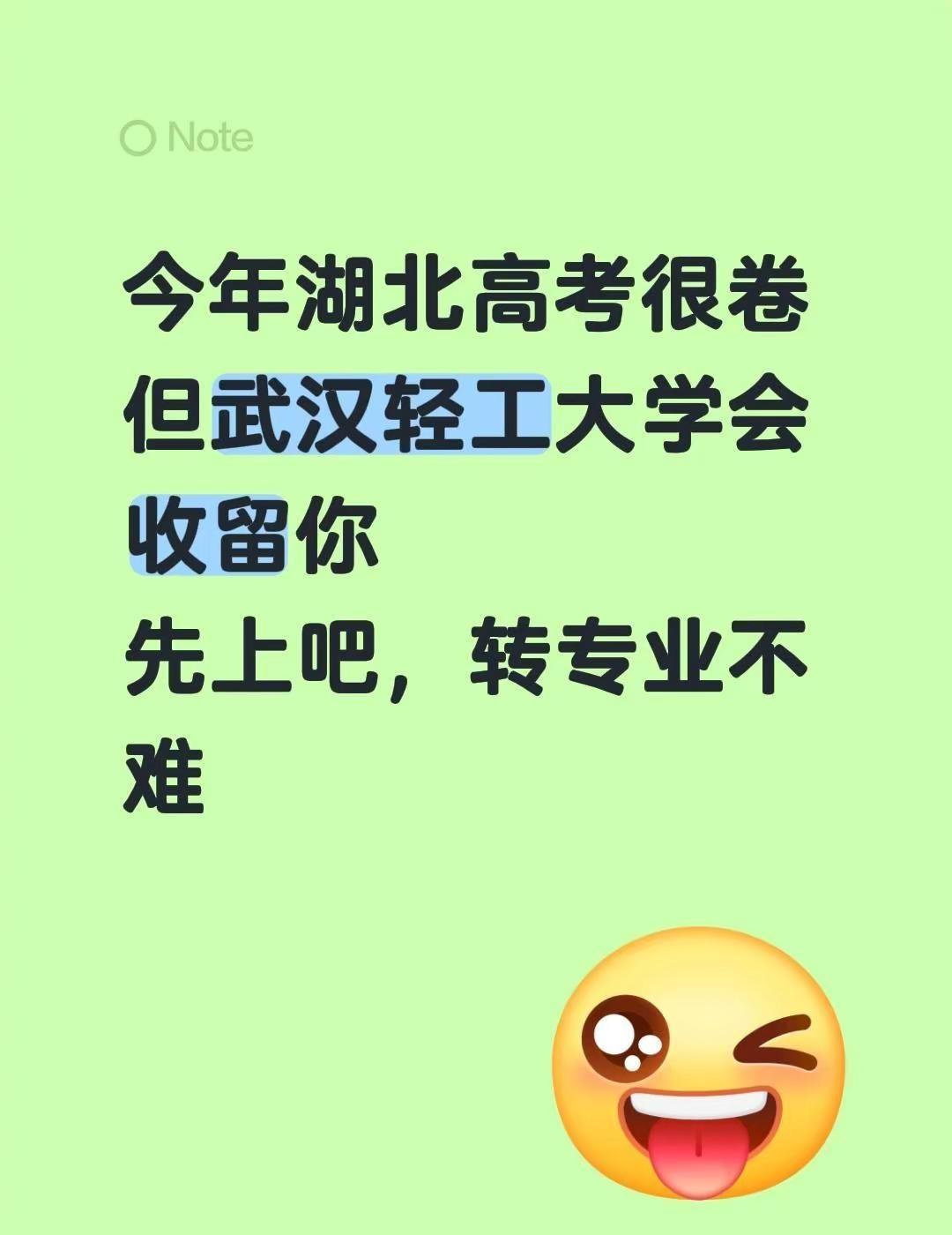 武汉轻工大学。今年湖北高考很卷但武汉轻工大学会收留你先上吧，转专业不难上岸 转专