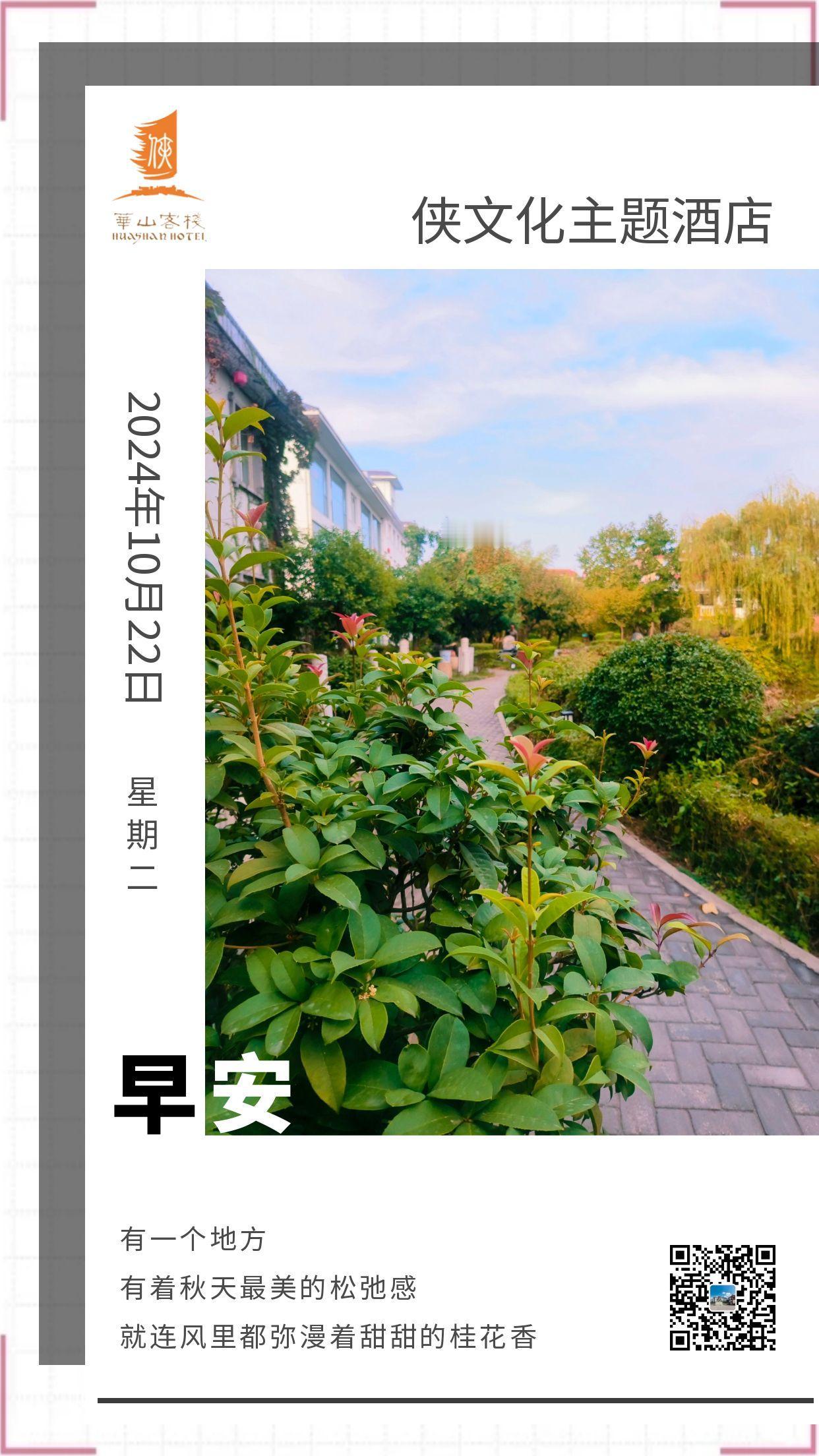 #秋日生活打卡季# #华山# #侠文化#
有一个地方
有着秋天最美的松弛感
就连