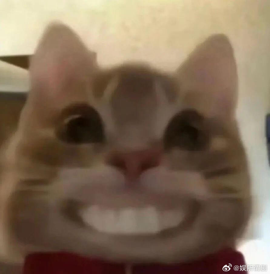 #拉好友助力赢了黄金该不该平分#真正的朋友，懂得在荣耀时刻，为对方留一份尊重与感