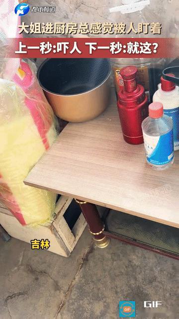 女子在厨房做饭，总觉得背后角落里有一双眼睛在盯着她，每次进厨房，这种被人注视的感