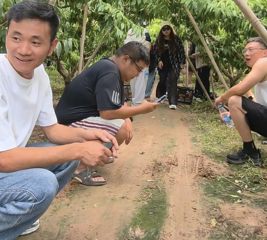 厉怀远言而有信
在自己的果园接待粉丝
二姨以自己的方式助力怀远

今天厉怀远发小