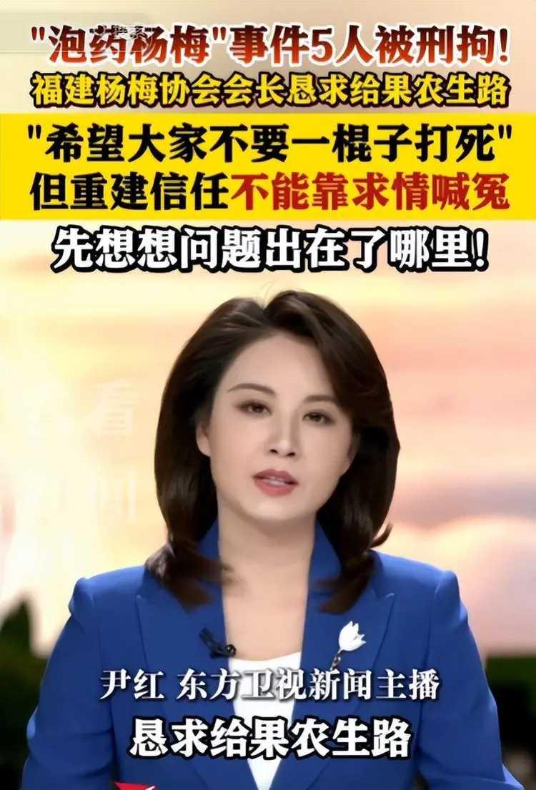 福建漳州杨梅，用8000倍防腐剂浸泡事件曝光后，殃及了一大批果农。
批发商说，希