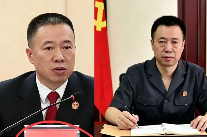这操作真让人开了眼了。一边在成都成华区法院当院长，正襟危坐敲法槌，一边悄悄挂靠在