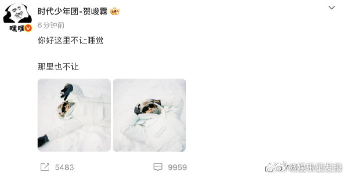 贺峻霖雪地里不让睡觉你好，这里是贺峻霖的“雪地流浪频道”哈哈哈哈哈哈，既然这里那