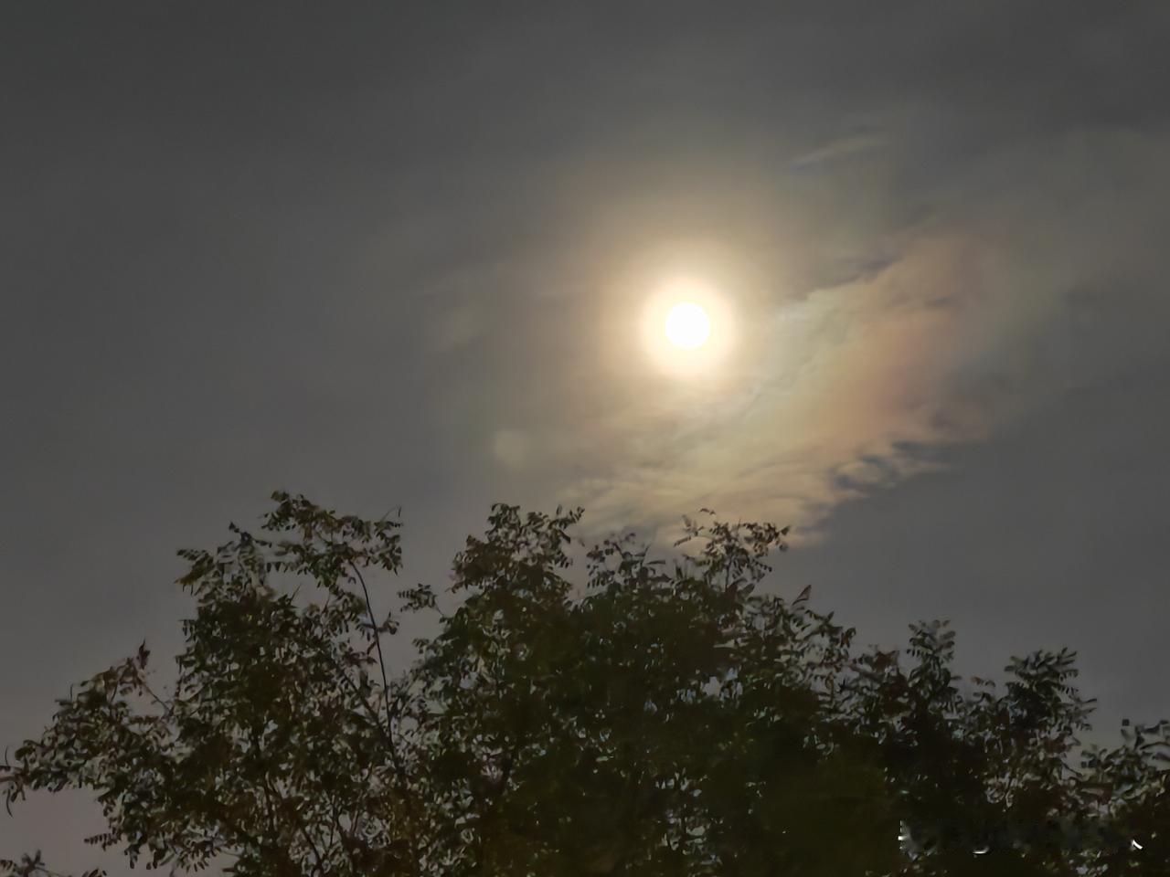 转盘抽现金攒餐券换现金活动火热进行中！发文做任务转转盘，获得餐券有机会瓜分30万