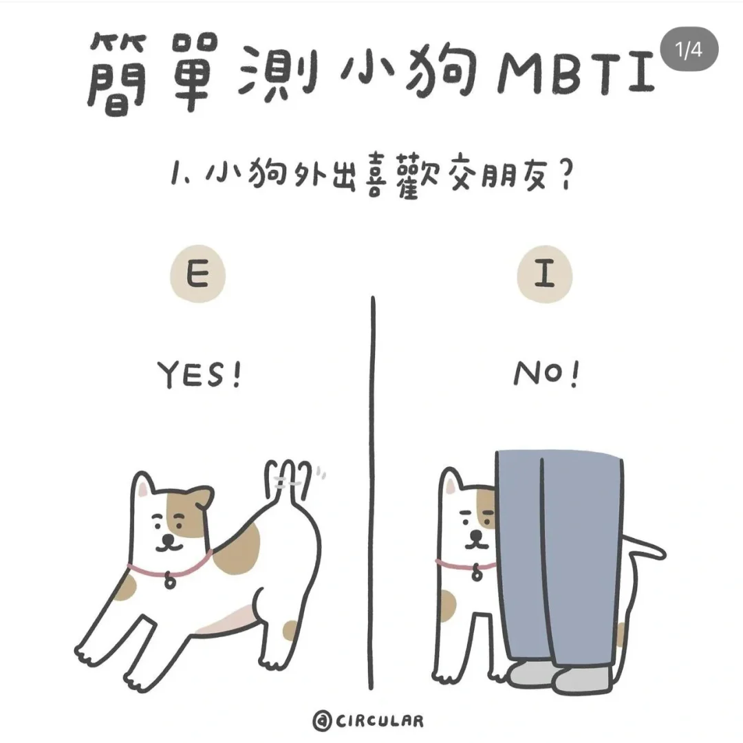 快测测你家小狗的mbti