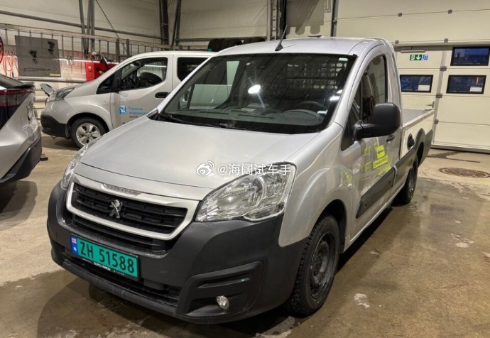 标致大皮卡~~~这玩意是2017年在丹麦上的牌，跑了五万多公里，没说汽油还是柴油