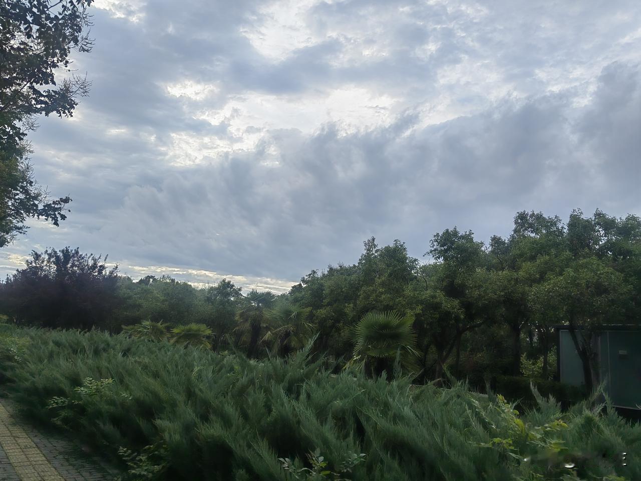领导，下午3：00开会，你2：50才要讲话稿，你能顺畅地读下来吗？
不是给你的晚
