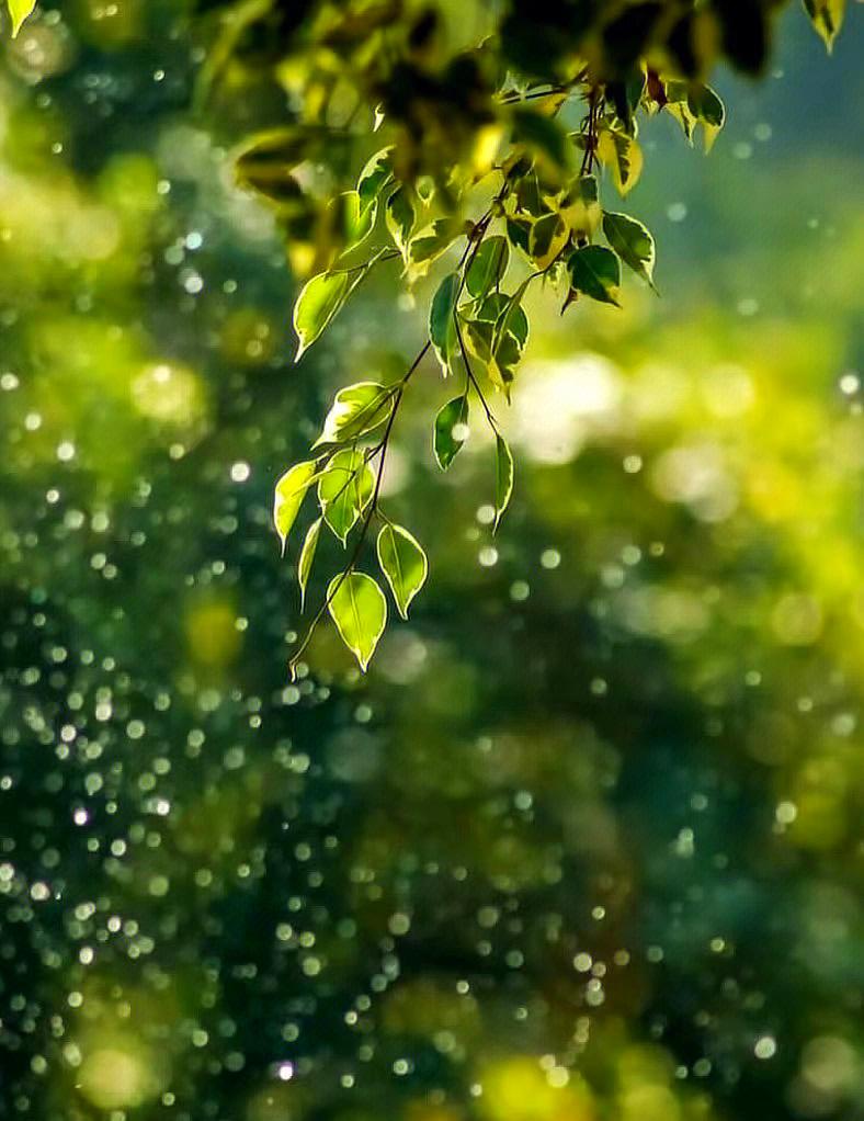旺自己，十妙招，
第一，笑容时常挂脸上，
第二，见人问声好，
第三，尊老爱幼，