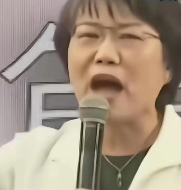 绝不允许吃肉还砸锅的人留在大陆！必须坚持从经济上惩罚、法理上打击。国台办：绝不允