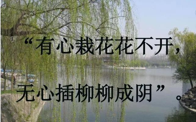 下联：种柳栽花花有梦
解析：“种柳栽花”对仗“呼风唤雨”，“花有梦”对应“雨无情