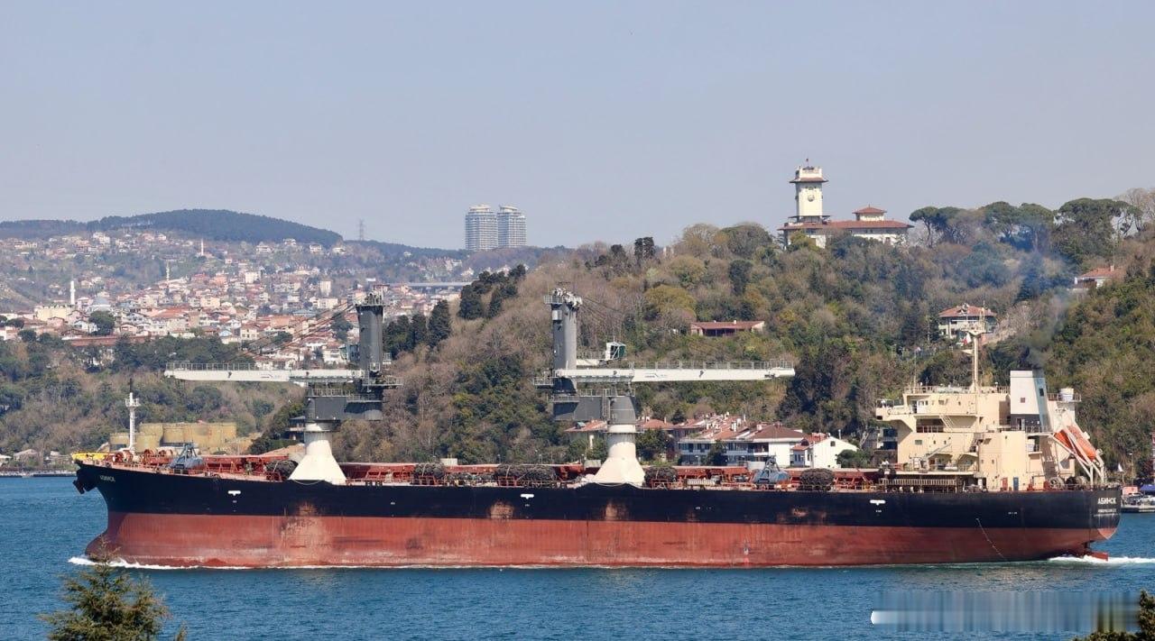 俄罗斯在乌克兰掠夺的粮食，在以色列港口卸货。 