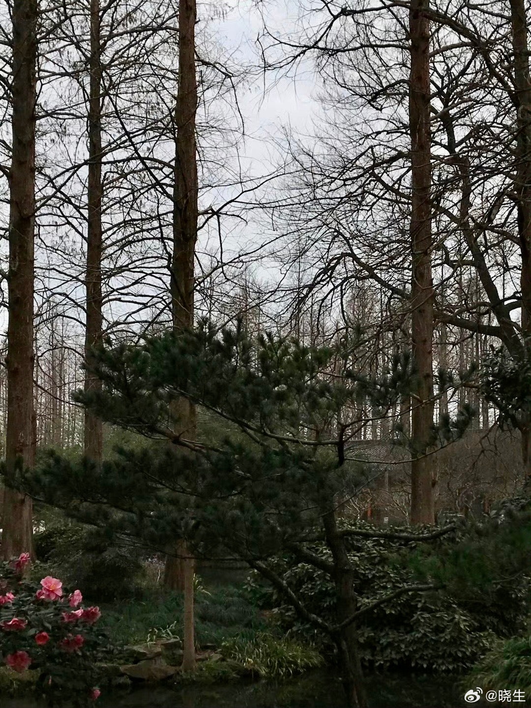 我做咨询这些年，发现很多人生活里的烦恼，其实不是事情难，而是边界感太差很多人习惯