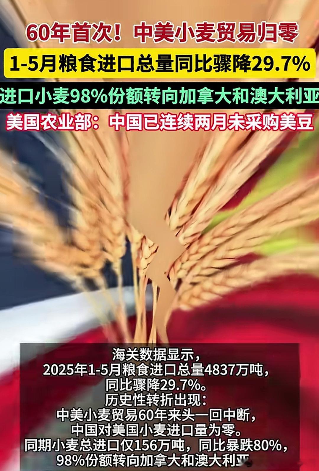 这下美国有点慌了，咋给选民交代？中国已连续两月未采购美豆中美小麦贸易归0 同时美