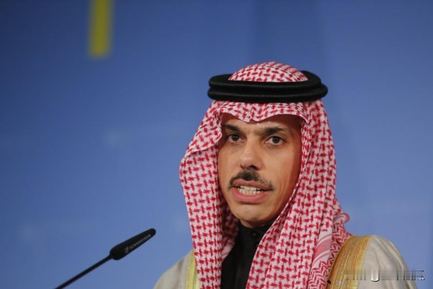 沙特坚决支持两国政策。沙特外交大臣费萨尔称，两国政策是沙特和以色列关系正常化的条