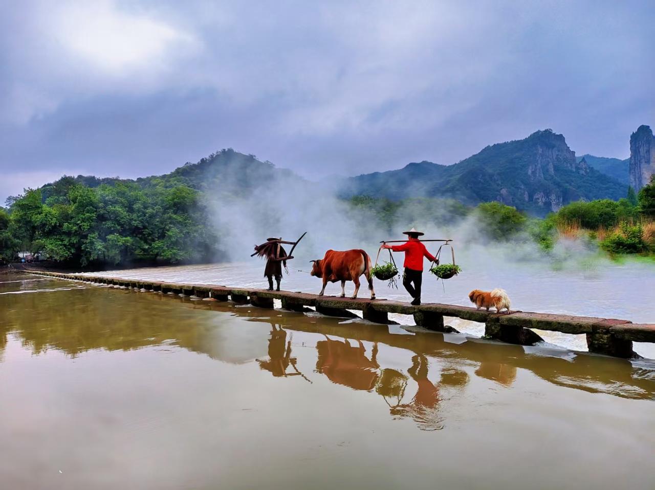 公园美丽景随拍