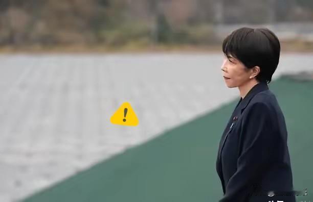 日本天塌了，中国新规

北京时间6月1日，我们国家出了一条关于“对外投资”的新规