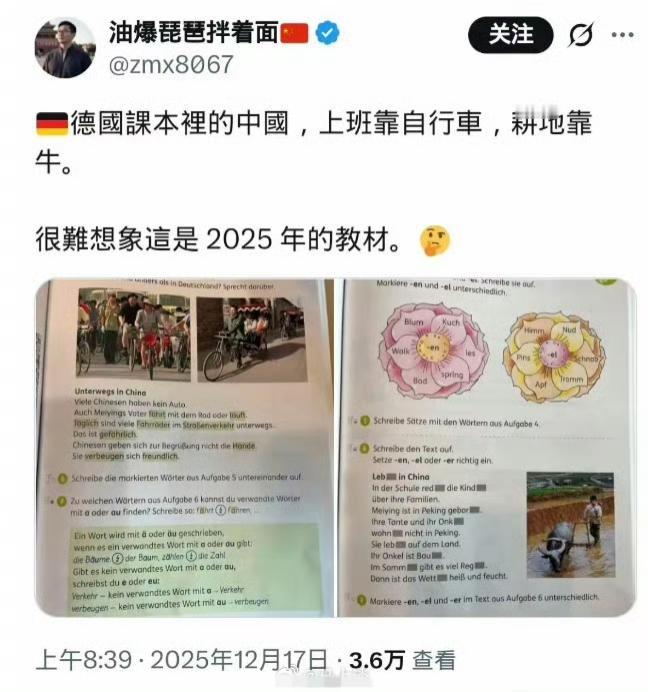 德国人给自己打上的思想钢印：中国人上班靠自行车，耕地靠牛，这居然是2025年的德
