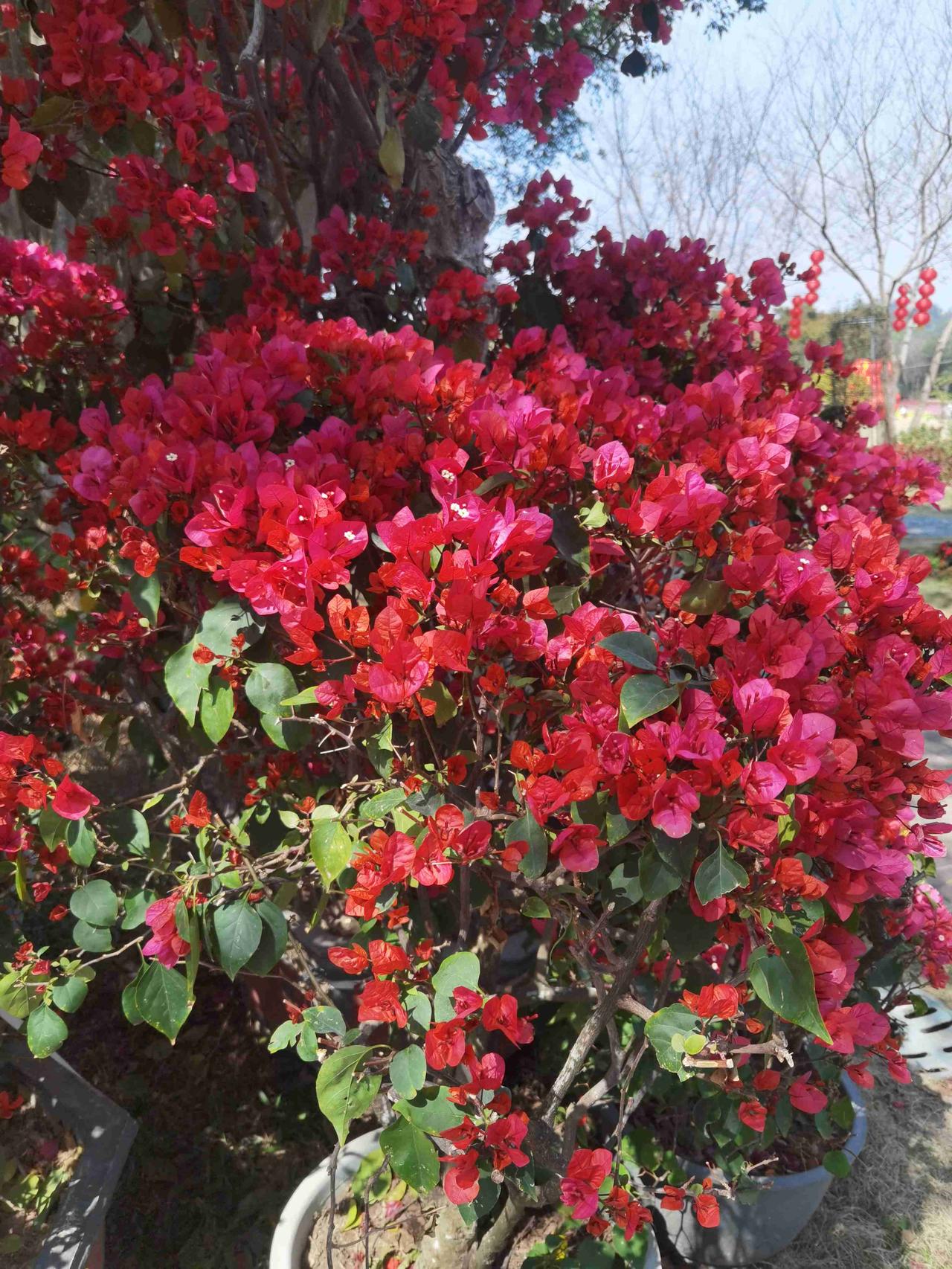 我的今日状态：😁轻松愉快
我这里的天气：🌧下雨
夜深了，把一天的疲惫轻轻放下