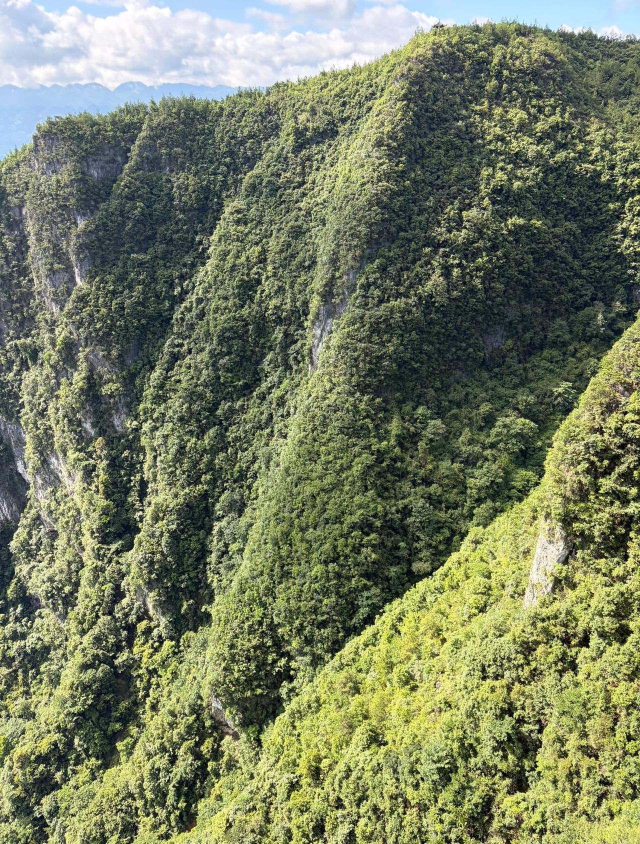 不是我说话难听，就这两天的天气，你们出门站三分钟试试，胳膊都能给你晒出油来。
