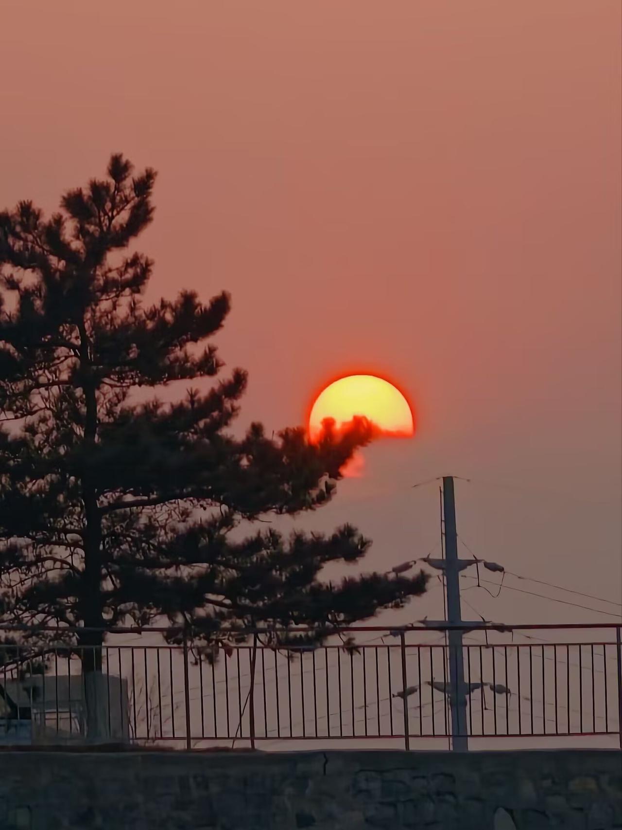 困住我的不是生活，是为人母和为人儿女的责任。我把自由换成了孩子的三餐四季，把诗和