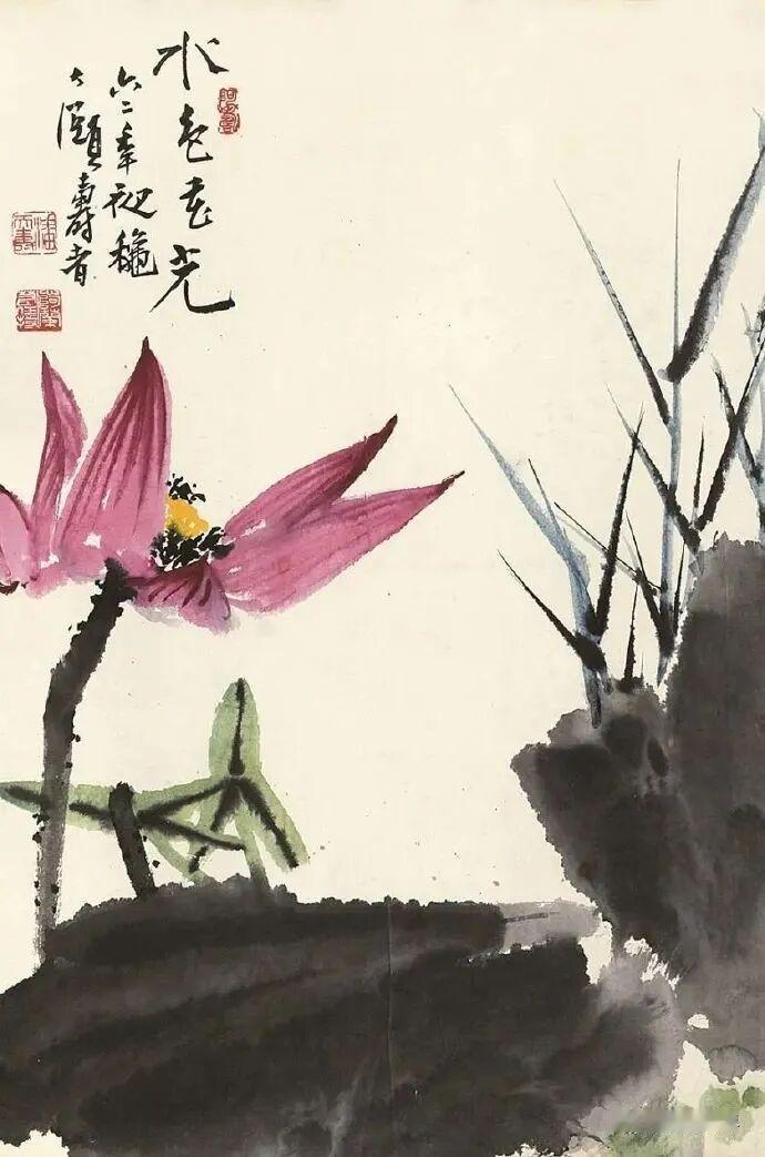 分享随手拍摄的树木和花草照片