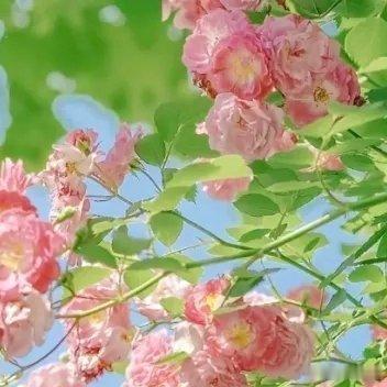 阳光信用 🌞阳光信用🌞每日一善做有用的事，说勇敢的话，想美好的事，睡安稳的觉