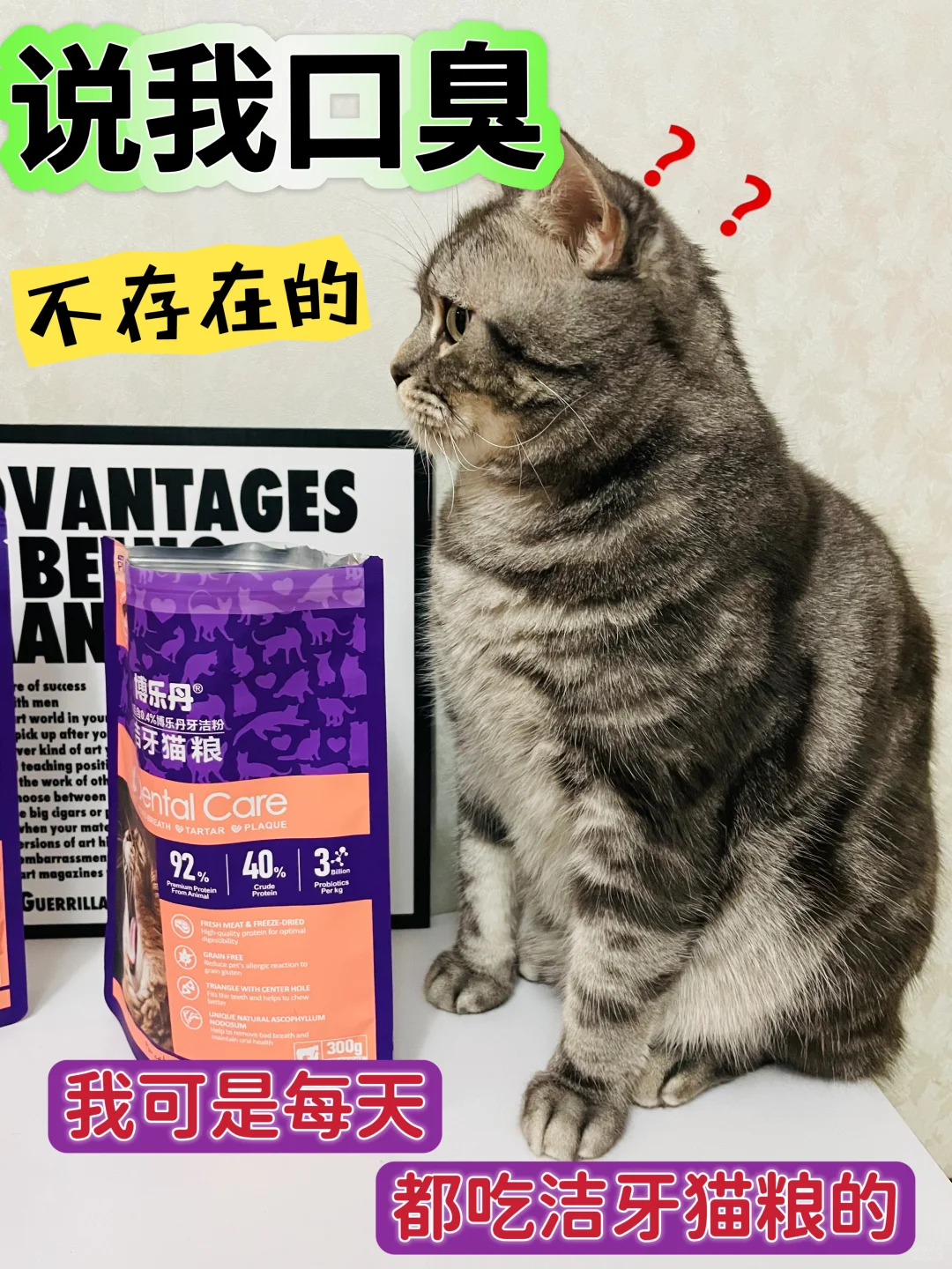 说我口臭？不存在的！我可是天天吃洁牙猫粮