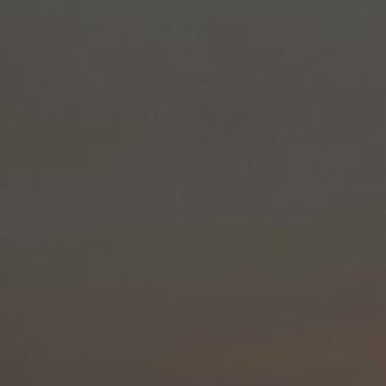 清晨第一声鸟鸣，唤醒活力一天。新的一天，愿你精力充沛，事事顺利。早安！ 