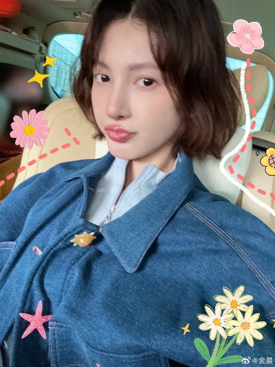 金晨。