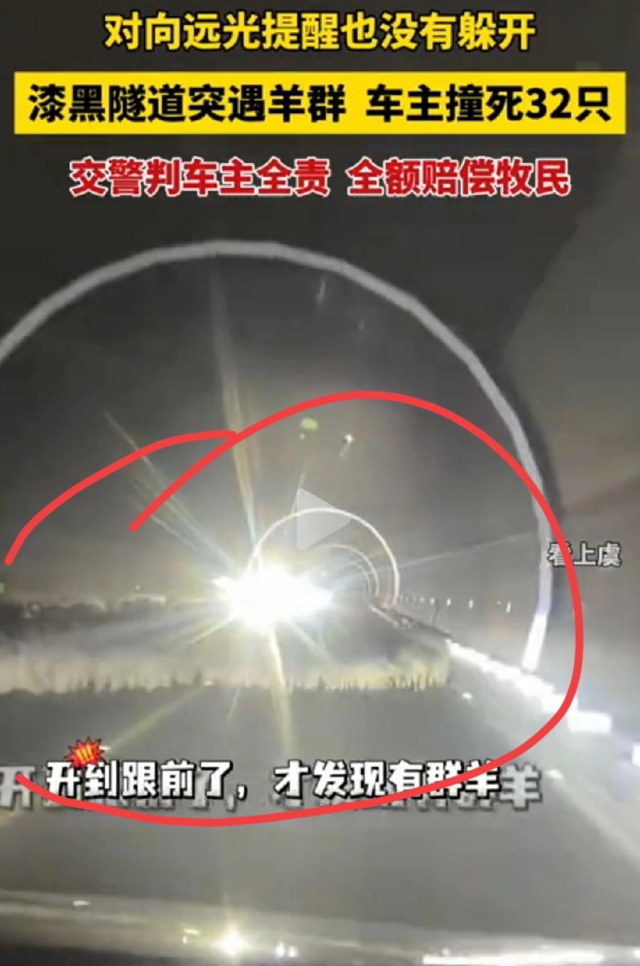 女车主漆黑隧道撞死32只羊。
问题根源在于，隧道设计不合理！警示牌设置不合理！