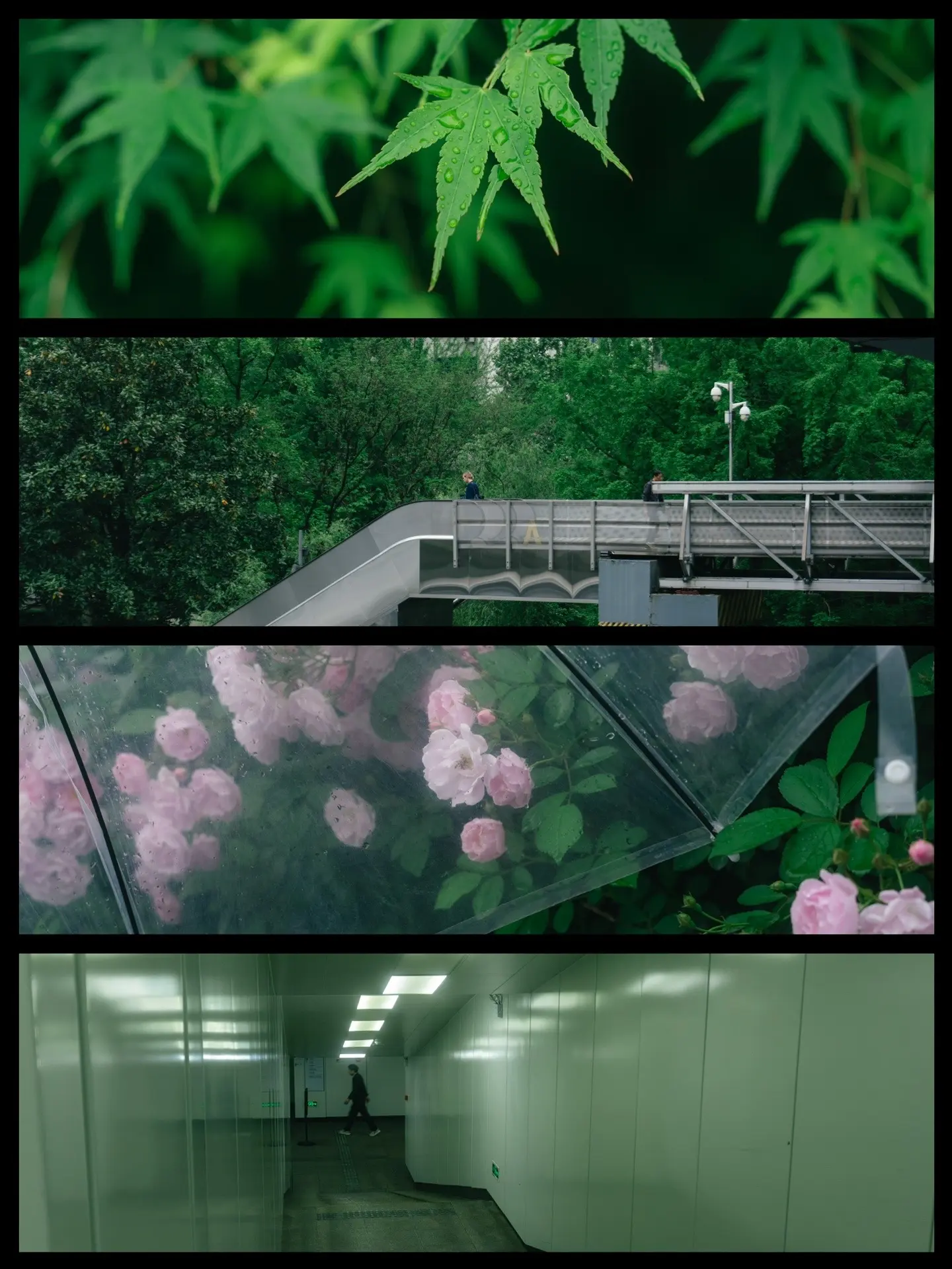 雨天是另一种浪漫。