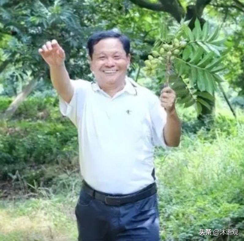 1984年，广东一男子为了种一种树，先后举债1200多万元，生活穷困潦倒，甚至一