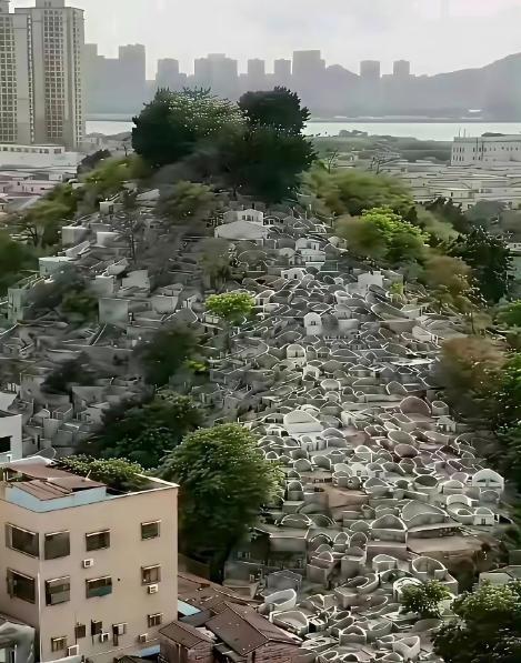 从有土葬开始中国死了几十亿人，耕地也没被塞满！占山头、卖墓穴是从火葬开始的，想想