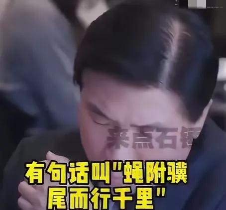 “蝇附骥尾”。这是一名韩国专家在电视节目中，劝自家政府应该搭上中国的便车时用的一